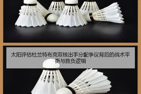tai-yang-ping-gu-du-lan-te-bu-ke-shuang-he-chu-shou-fen-pei-zheng-yi-bei-hou-de-zhan-shu-ping-heng-yu-sheng-fu-luo-ji-3-469.jpg