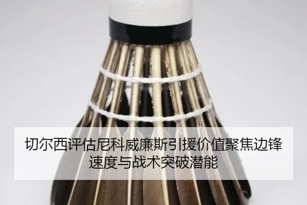 切尔西评估尼科威廉斯引援价值聚焦边锋速度与战术突破潜能